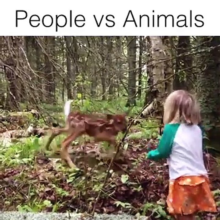 people vs animals