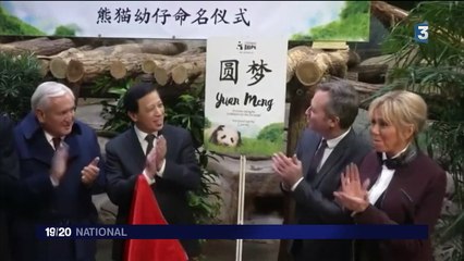 Brigitte Macron : la diplomatie du panda