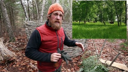 Thatched Reed Winter Survival Shelter Part 1 Of 2 (87 days episode 17)