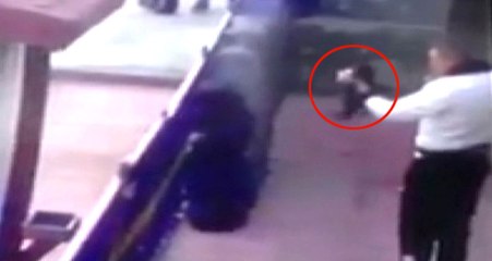 TSK'dan Kediye İşkence Eden Caniye Ceza Geldi