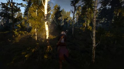 The Witcher 3 Bear battle