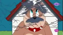 Tom and Jerry  - توم و جيري Cartoon full Episodes 2017 - Hair today gone, tomorrow New HD