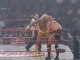 Hulk Hogan vs. Lex Luger