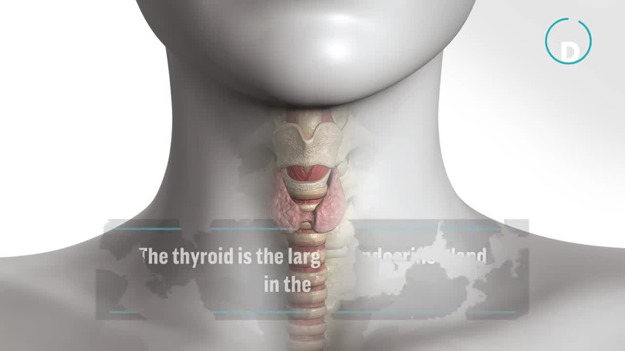 9 Sneaky Signs Your Thyroid Might be Out of Whack