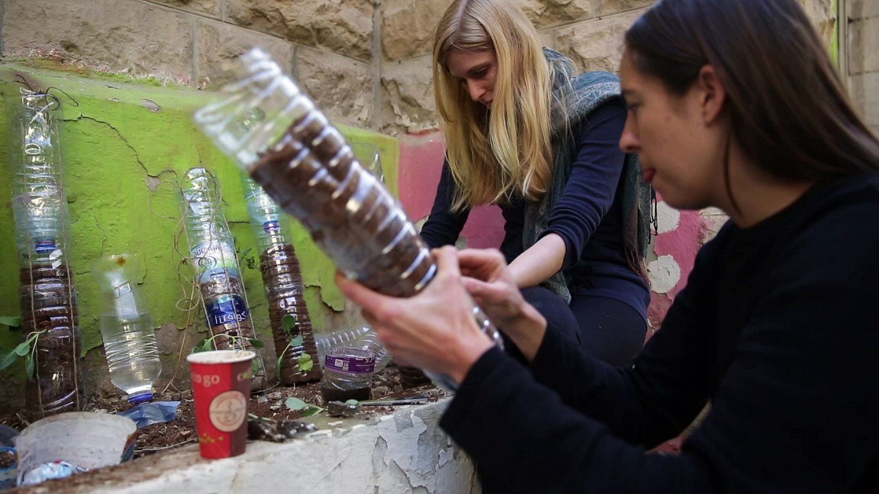 NGO helps Syria refugees make 'vertical gardens' to grow food