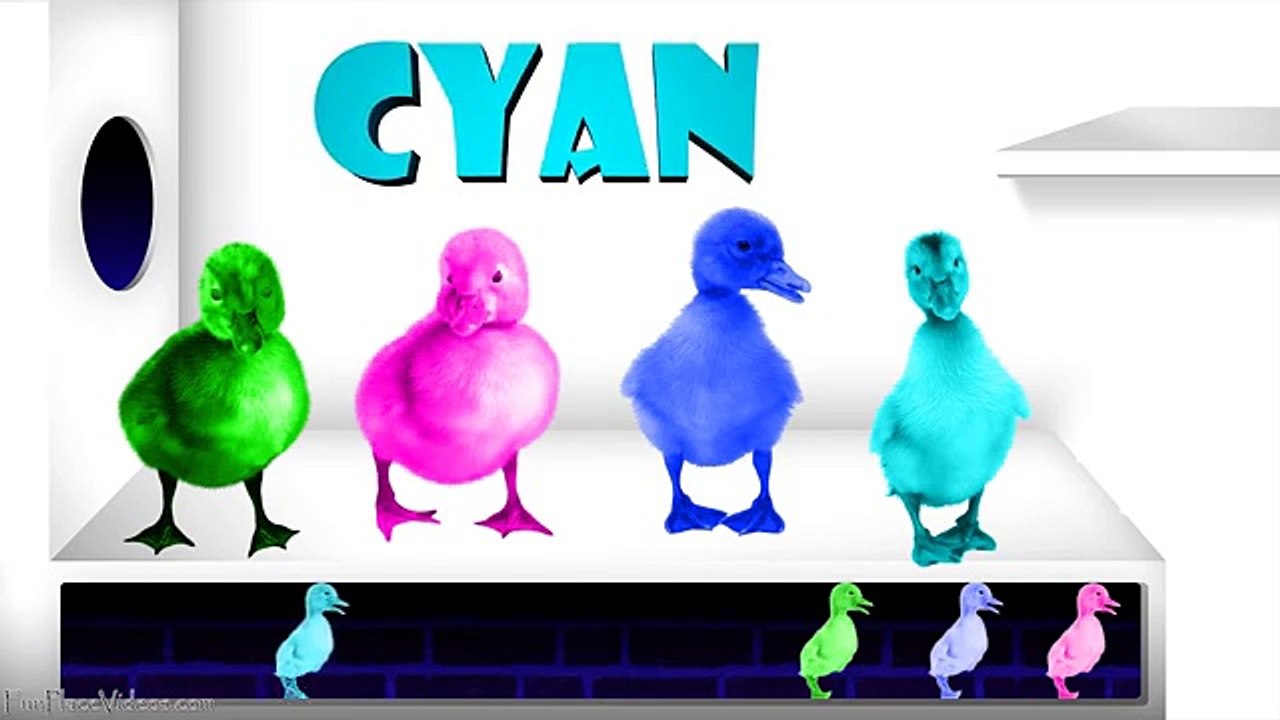 Learn Colors with Colorful Ducks Xylophone Surprise Eggs Funny Animals Videos Kids Babies Toddlers