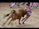 Sports Fails Funny Compilation - Funniest Sports moments