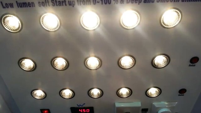 Khung cảnh không gian dùng đèn led module trang trí