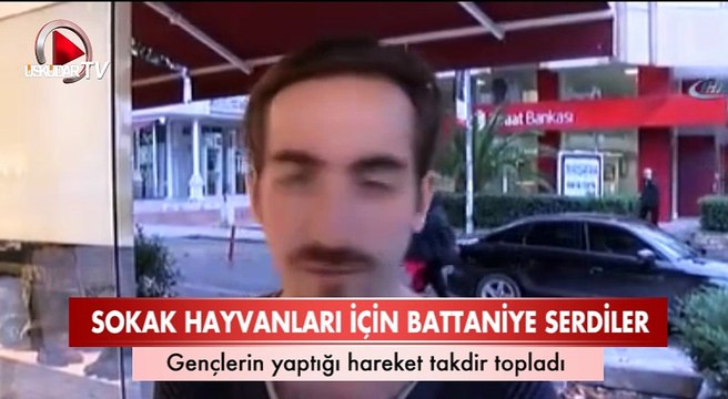 Üşüyen sokak hayvanları için battaniye serdiler