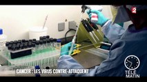 Santé - Quand les virus attaquent les tumeurs cancéreuses