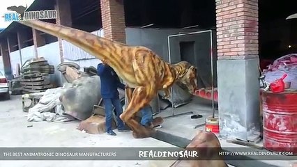 Very funny t-rex style dinosaur costume testing in our factory