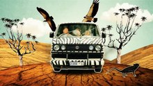 19. Searching for White Eye (Mountain Zebra National Park)