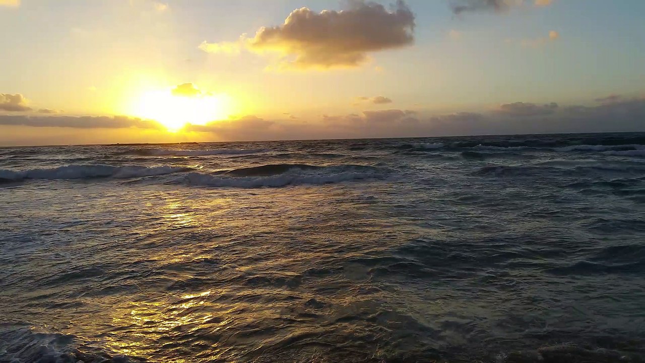 Amazing Alexandia Egypt