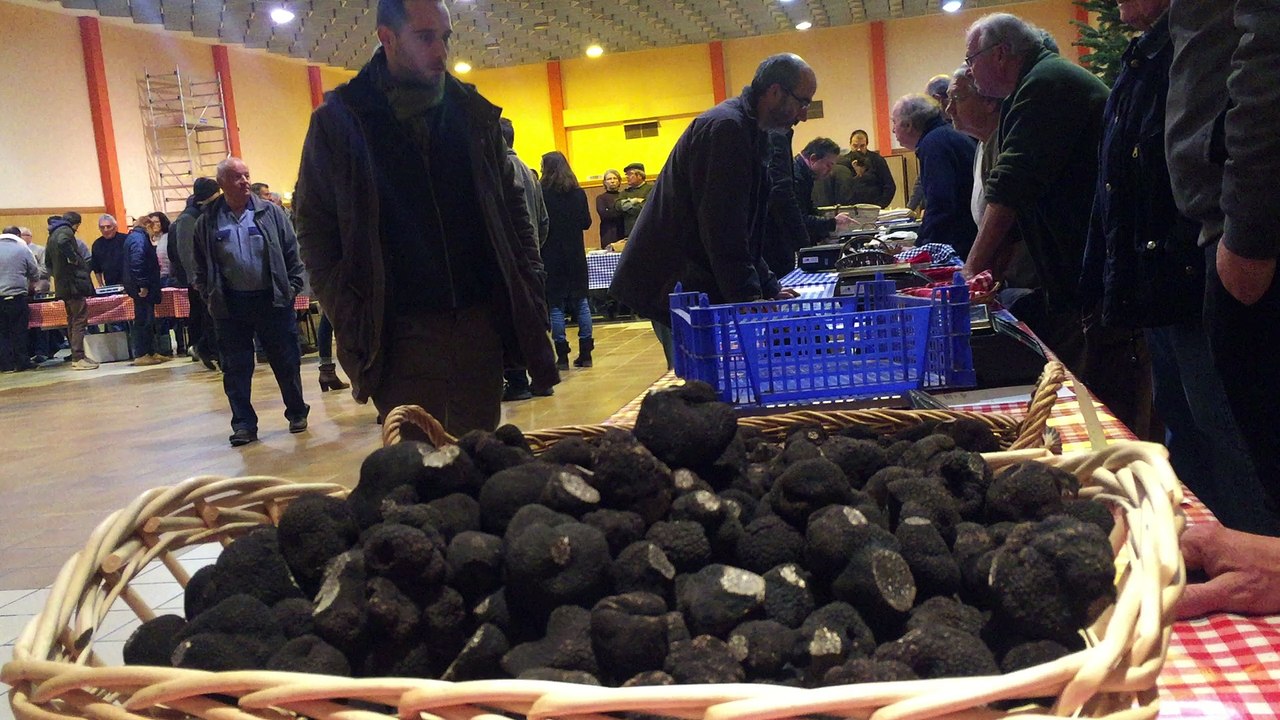 Marché aux truffes de Jarnac le plus gros producteur a apporté 25kg