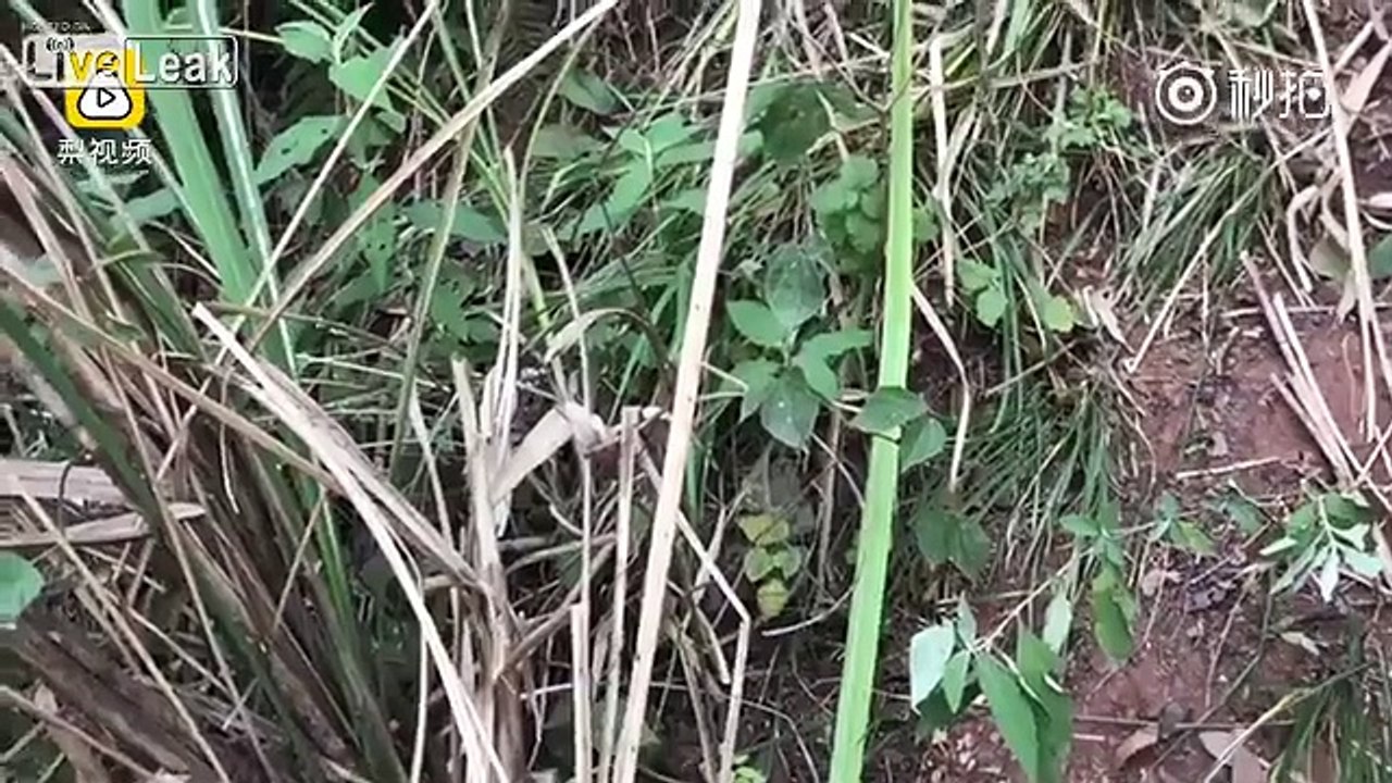 Man ditches his girlfriend on the side of the road