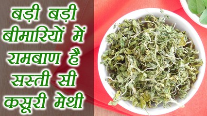 कसूरी मेथी | Kasuri Methi | शुगर-कोलेस्ट्रॉल को कंट्रोल रखने वाली कसूरी मेथी के 5 बड़े फायदे |Boldsky
