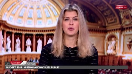 Budget 2018 : mission audiovisuel public - Les matins du Sénat (05/12/2017)