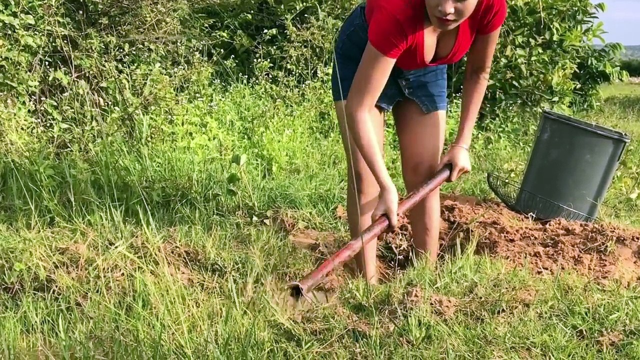 Best Electric Fan Guard Snake Trap To Catch Huge Snake By Reaksa Smart Girl