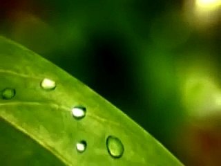 A List Of Old Games That I Would Definitely Buy Again On Switch