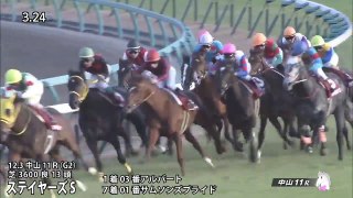 2016年 有馬記念の参考レース映像