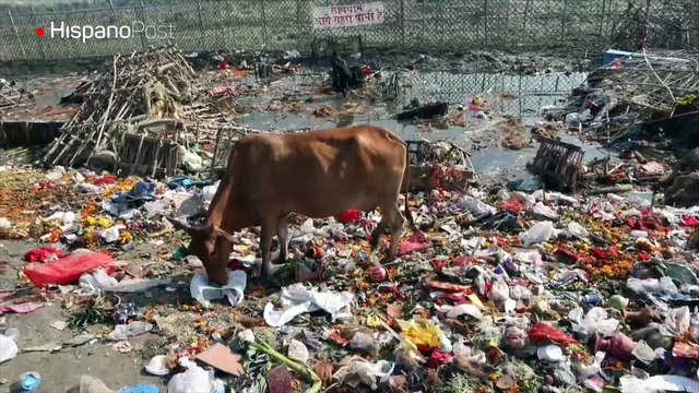 Aguas fecales y vertidos industriales siguen contaminando el río Yamuna