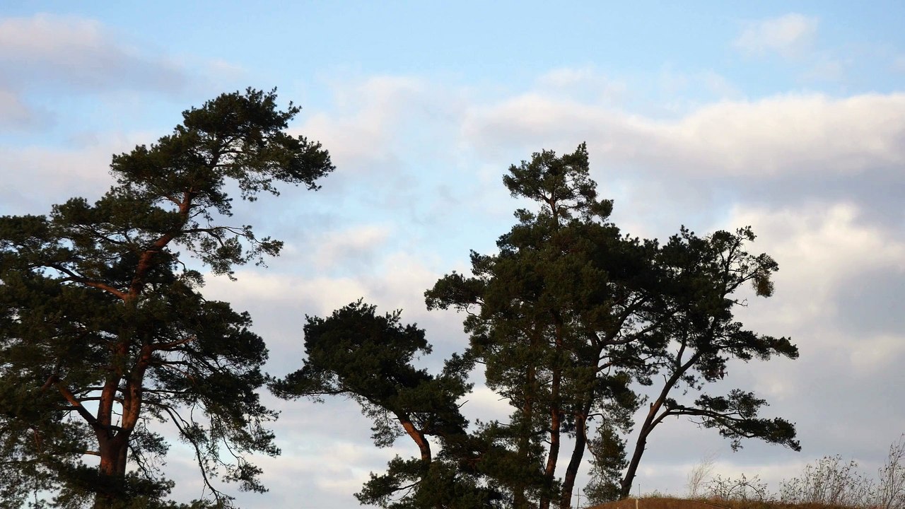 Approaching EC-135, D-HDRN, DRF