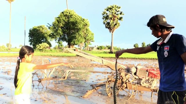 Creative Girls Catch Water Snake and a lot of Snails in the Rice Field