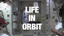 How Astronauts Live in Space