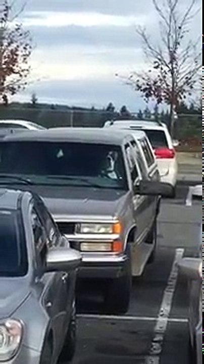 Il laisse son chien dans la voiture, mais ce dernier perd patience et alerta tout le monde