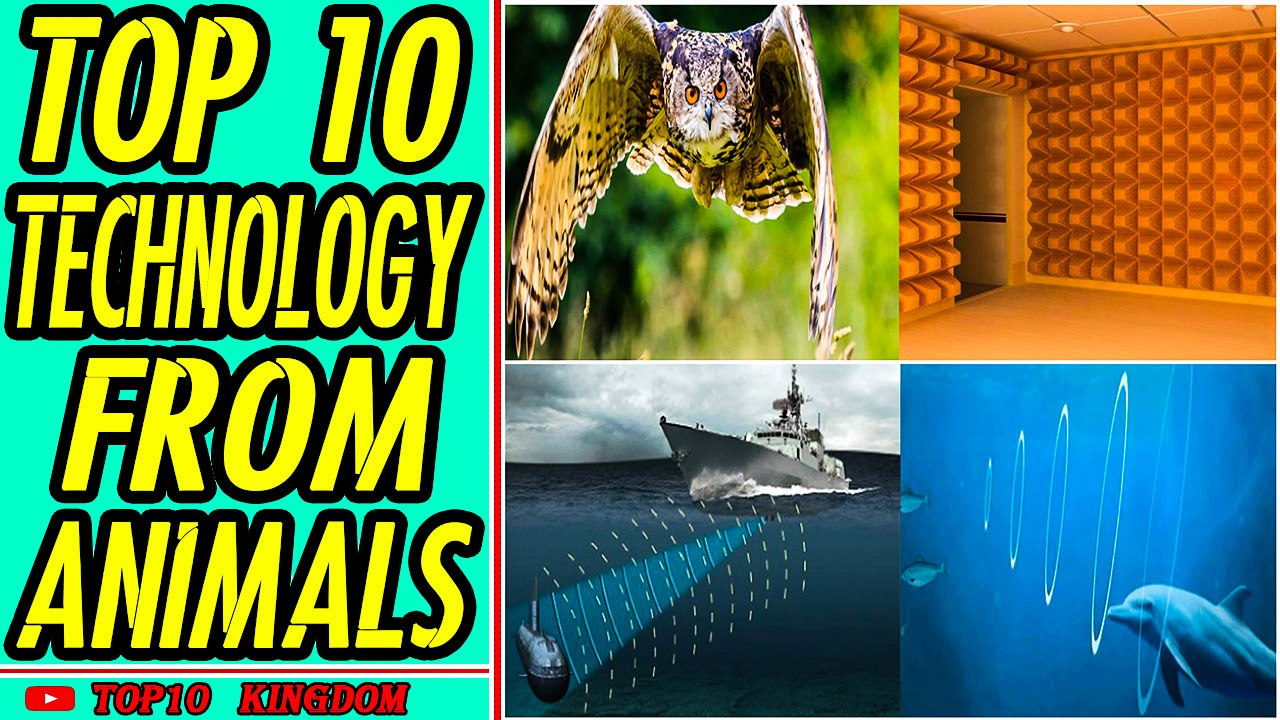 TOP 10 Technologies Inspired from Animals