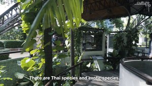 Explore Bangkok's Snake Farm