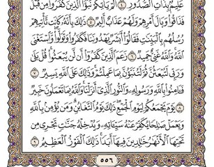 سورة التغابن بصوت الشيخ وديع اليمني