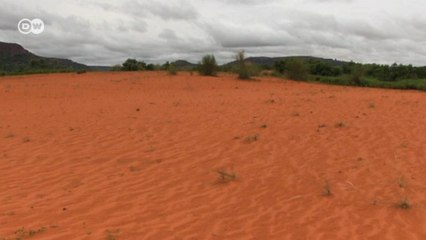 Çölleri yeşile dönüştürmek mümkün mü?