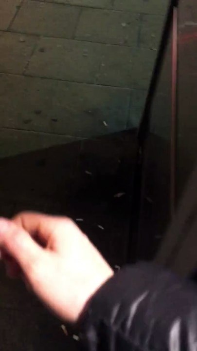 Flipping off a Fake Beggar