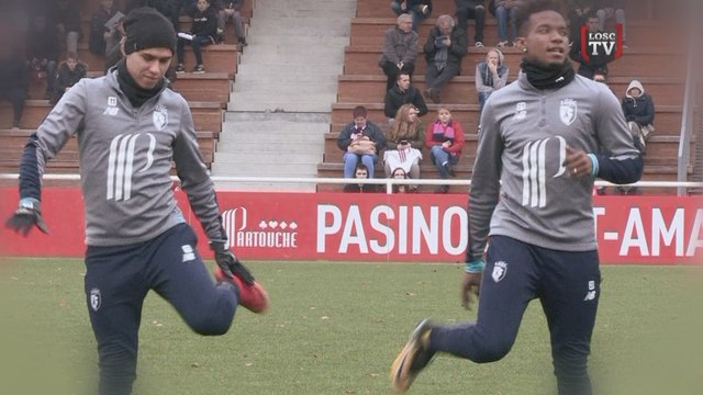 Les Dogues en plein travail