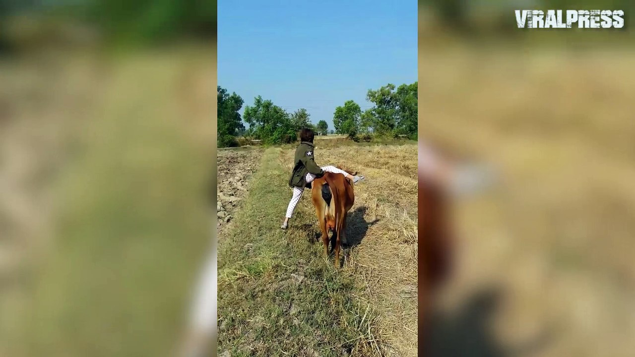 Funny Cow Riding Fail - video Dailymotion