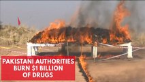 $1 billion of drugs burned by Pakistani authorities