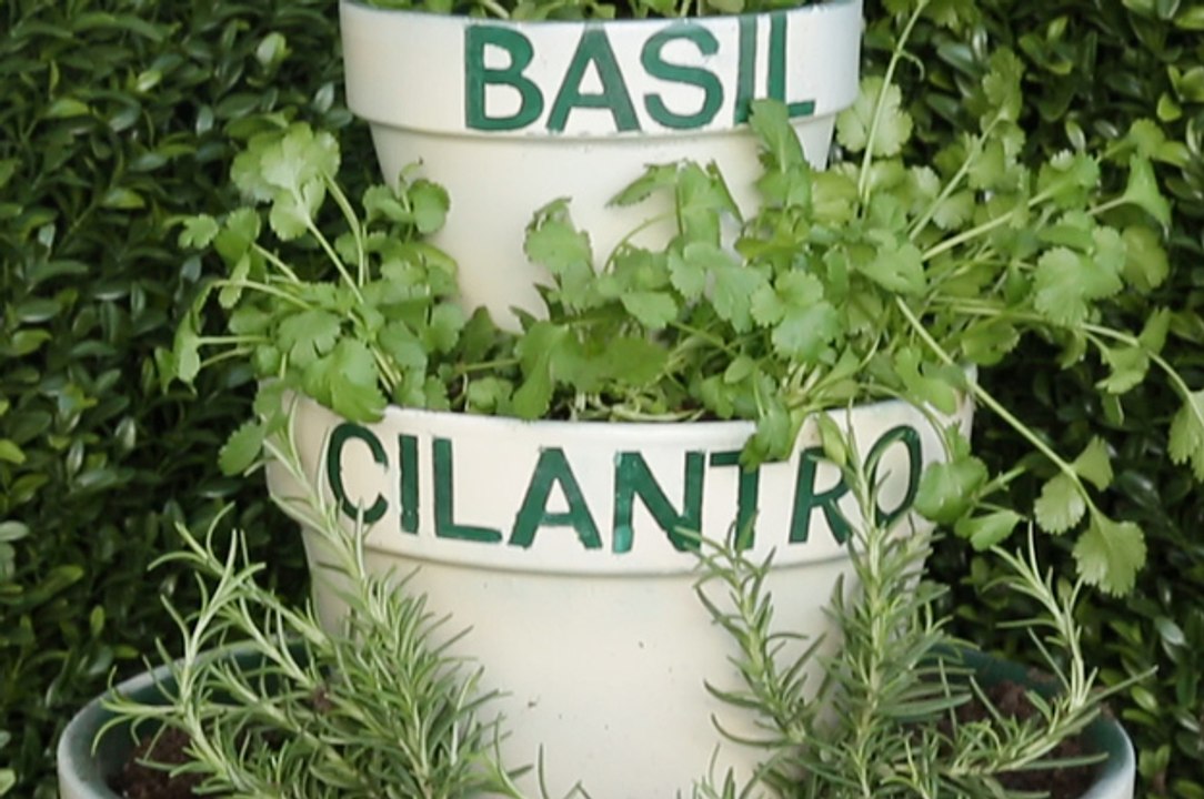 3 Tiered Herb Planters