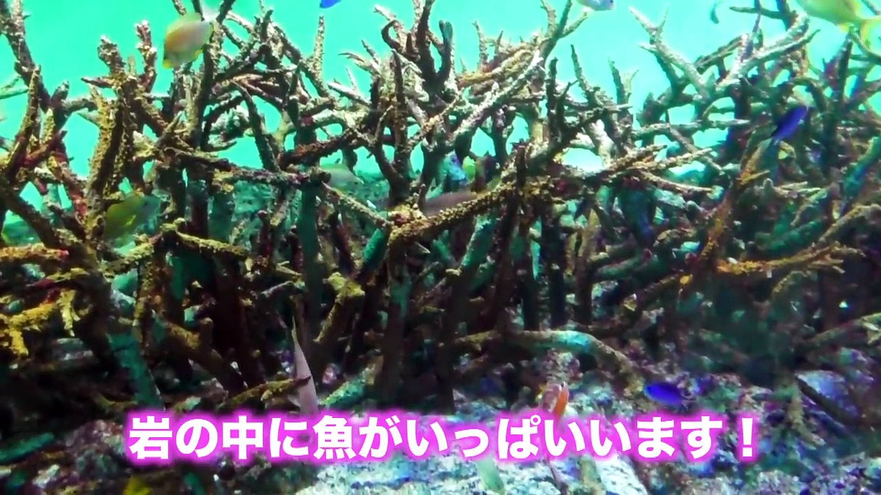 ゆなの新しいお家に遊びに来ませんか？
