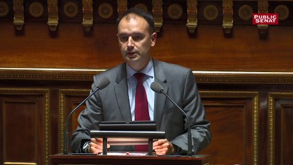 Sébastien Meurant : "La mission immigration, asile et intégration est globalement sous-budgétisée"