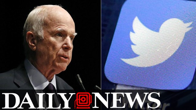 John McCain asks for more Twitter followers, loses thousands