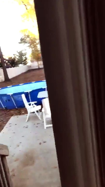 Il surprend son chien à faire quelque chose de délirant
