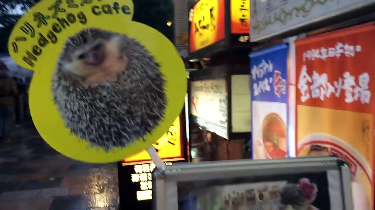 ハリネズミカフェってなんぞや