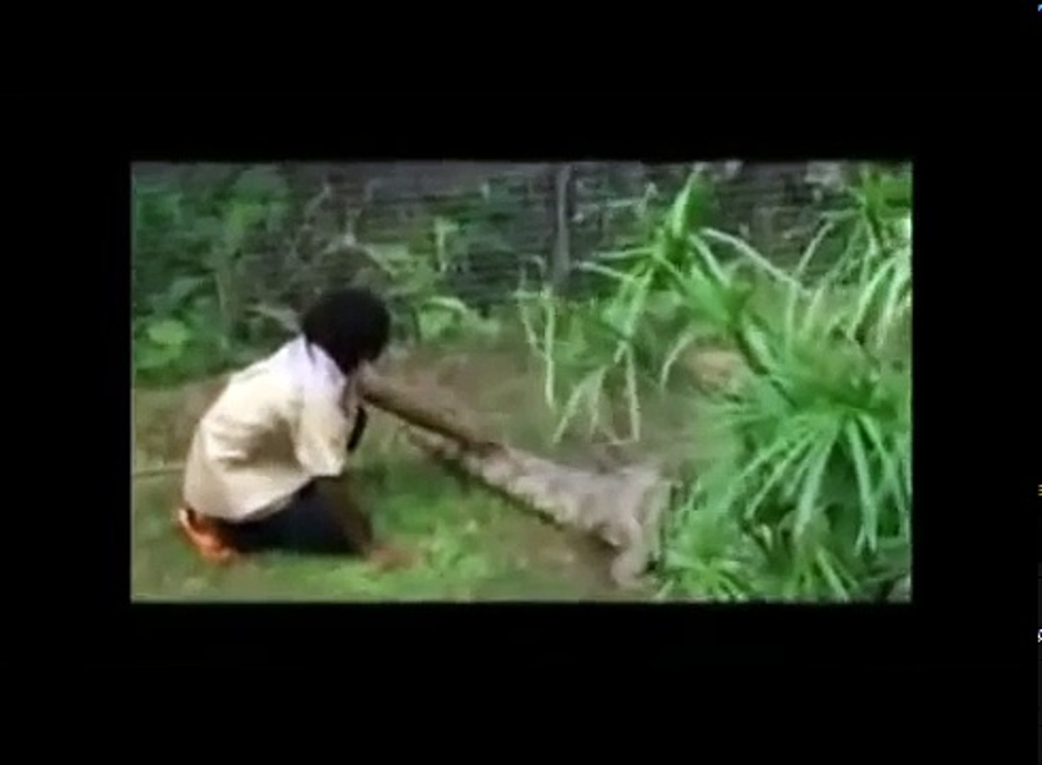 ⁣Хищники атакуют! Нападение животных на людей