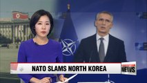 NATO chief says maximum pressure needed to achieve peaceful Korean peninsula