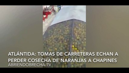 HONDURAS: TOMAS DE CARRETERAS ECHAN A PERDER PRODUCCIÓN DE NARANJAS COMPRADA POR CHAPINES