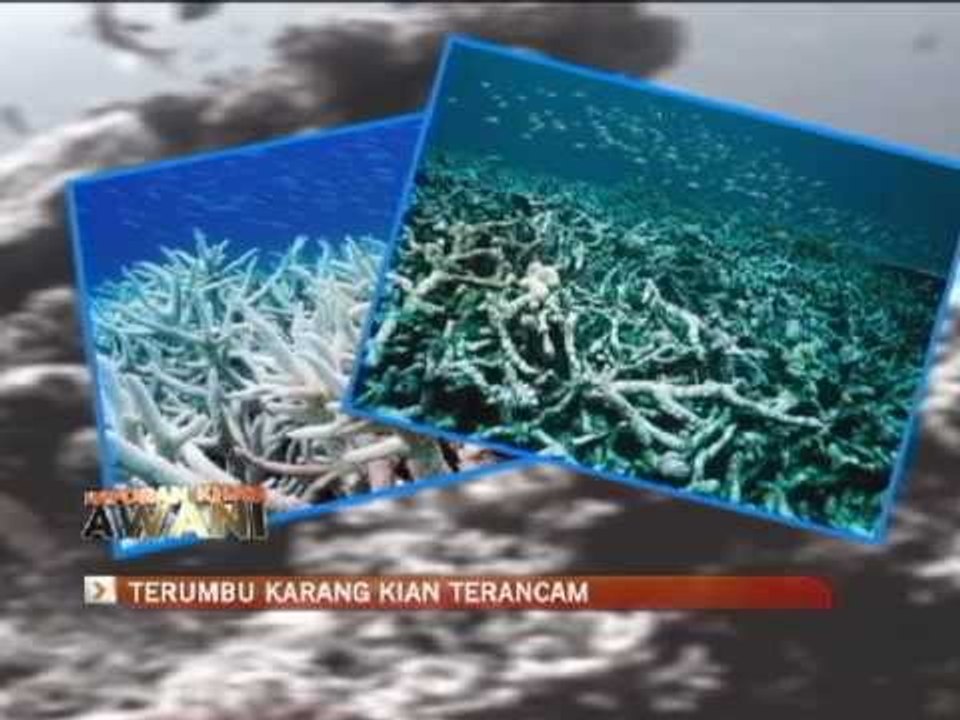 Terumbu Karang Kian Terancam - Laporan Khas Awani