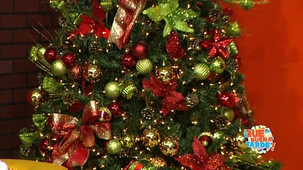 QBT 05 Diciembre 2017