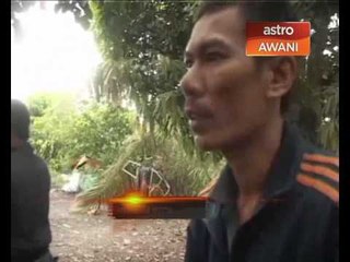 Pemuda mati ketika membajak sawah