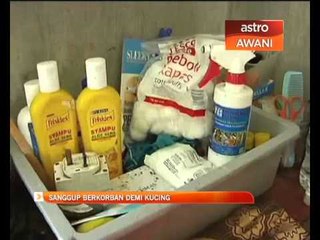 Sanggup berkorban demi kucing